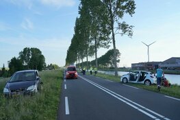 Meerdere gewonden na ongeval door overstekende eendjes op N244
