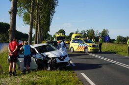 Meerdere gewonden na ongeval door overstekende eendjes op N244