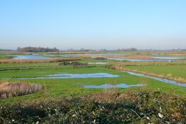 Vaar mee: moeras en trilveen in de Eilandspolder